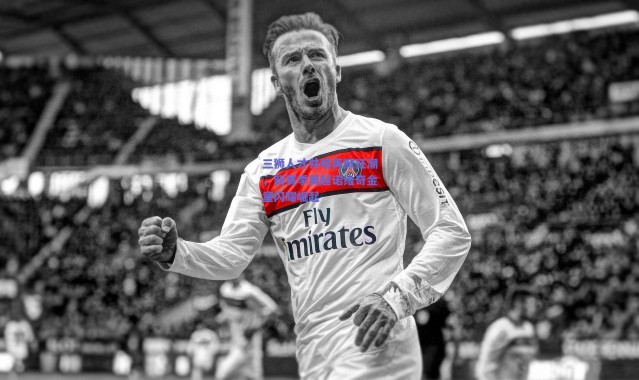 爱游戏中国站_三狮人才井喷再掀狂潮，新赛季英超诺维奇金童闪耀崛起