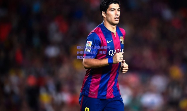 【爱游戏官方入口】拜仁中场帕夫洛维奇预计伤缺3-4周，恢复情况成关键