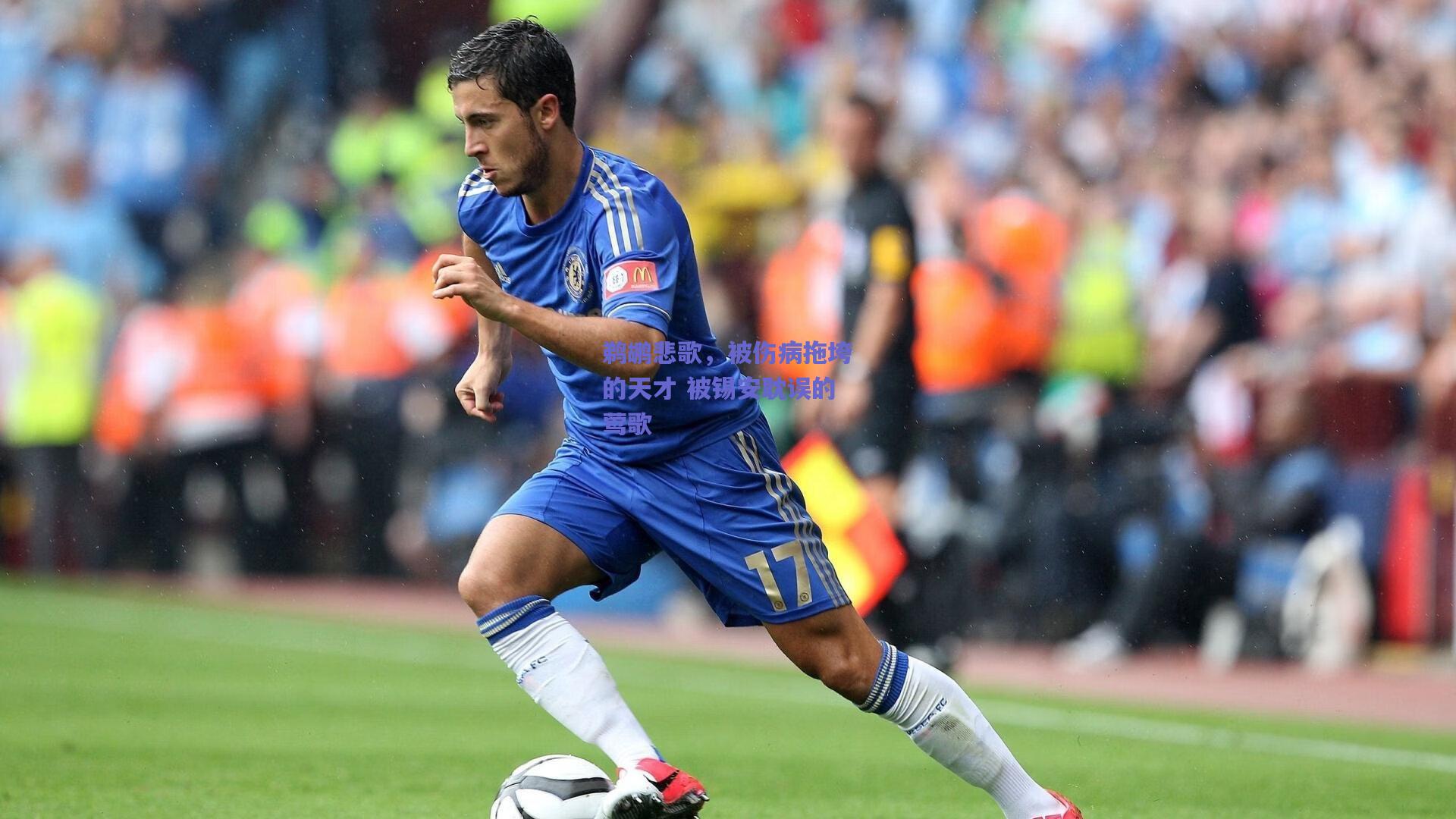 鹈鹕悲歌,被伤病拖垮的天才 被锡安耽误的莺歌