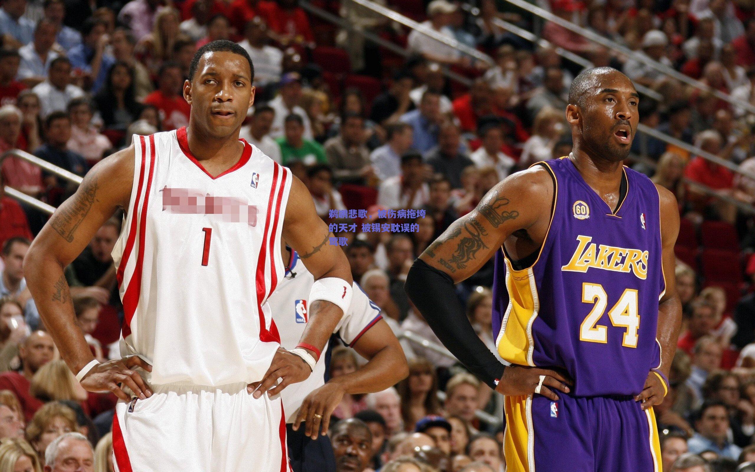 鹈鹕悲歌,被伤病拖垮的天才 被锡安耽误的莺歌